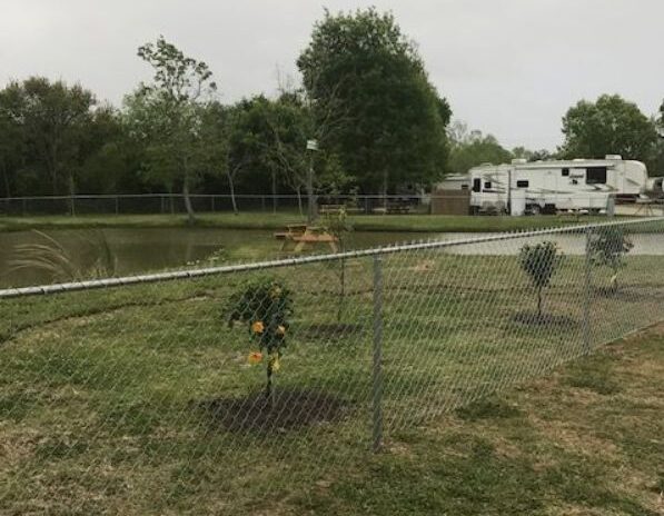 Lazy D RV Park in Hitchcock TX